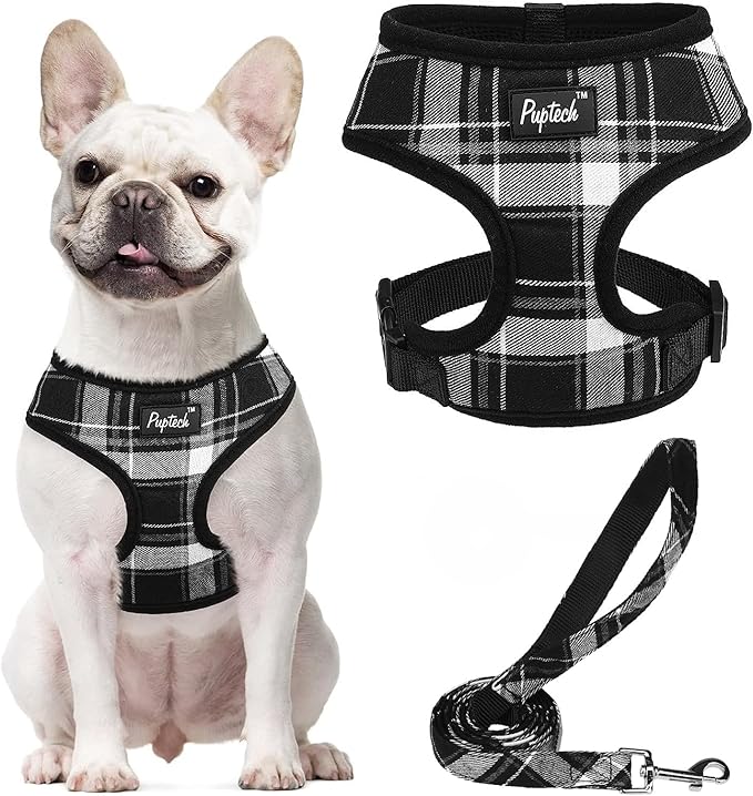 PUPTECK Soft Mesh Dog Harness and Leash Set Pet Puppy Cat Comfort Padded Vest No Pull Harnesses, Black, XL