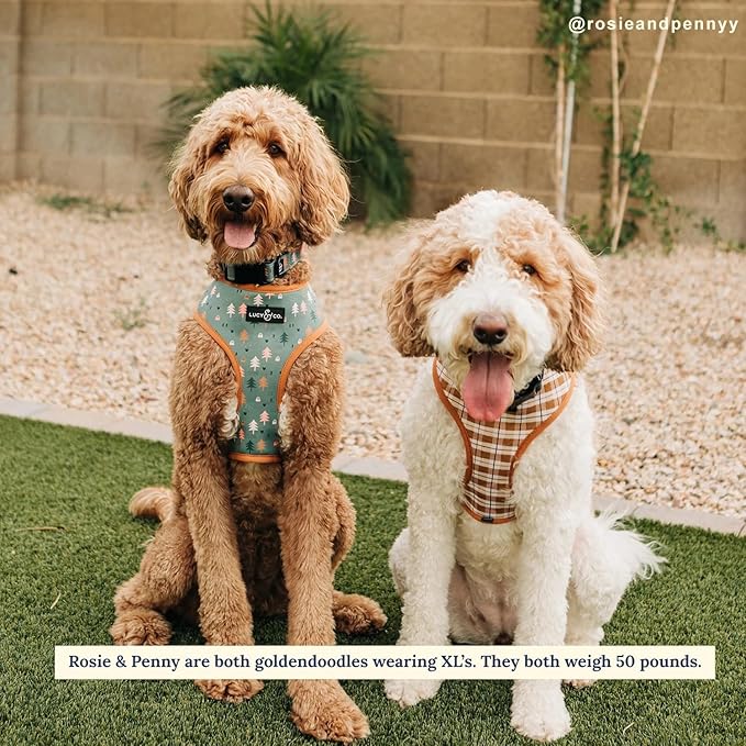 Lucy & Co. Cute Reversible Dog Harness Walking Halter - Best Designer Pet Harnesses for XS - XL Dogs - Padded Adjustable Vest for Easy Walking (X-Small, Neutral Brown Plaid with Blue Trees)