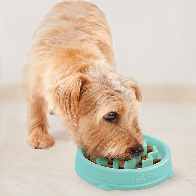 Outward Hound Small Fun Feeder Slow Bowl, Puzzle for Fast Eaters, Puppies, Cats & Small Dogs, Wet or Dry Food, Helps Prevent Bloat & Aid Digestion, 3/4 Cup Capacity, Non-Slip, Made Without BPA, Mint