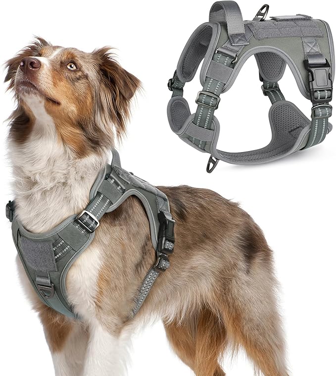 rabbitgoo Tactical Dog Harness Medium Sized Dog, No Pull Military Service Vest with Handle & Molle, Easy Control for Training Walking, Adjustable Reflective Straps, Dark Grey, M
