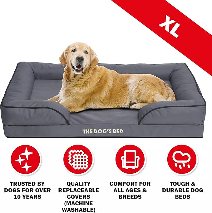 The Dog’s Bed, Orthopedic Standard Foam Waterproof Dog Bed with Standard Support, XL Grey with Black Trim, Waterproof, Supportive Dog Bed with Replaceable Covers, Veterinary Approved