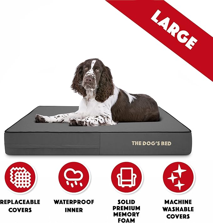 The Dog’s Bed Orthopedic Memory Foam Dog Bed, Large Grey & Black, Waterproof, Supportive Dog Bed with Replaceable Covers, Veterinary Approved