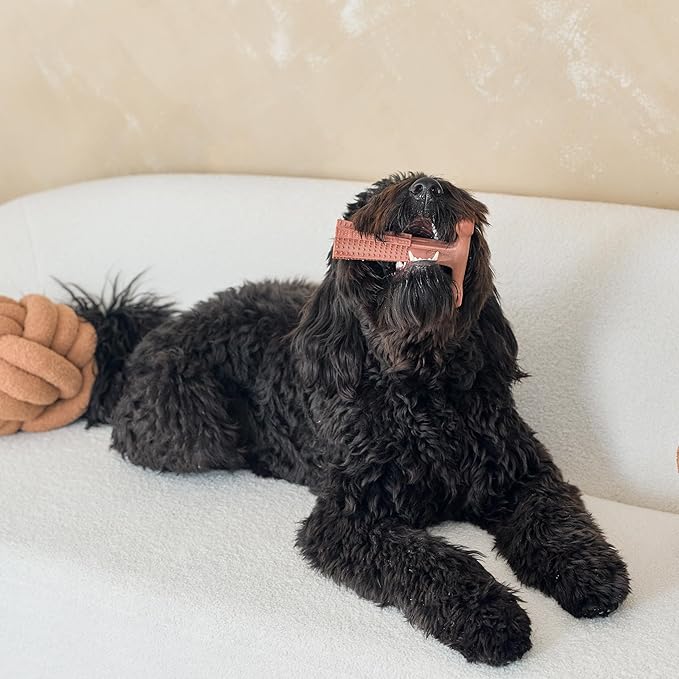 SPOT Bam-Bones Plus T Bone - Bamboo Fiber & Nylon Dog Chew Toy for Moderate to Aggressive Chewers, Non-Splintering, Long-Lasting, 7in Beef Flavor, for Adult Dogs & Teething Puppies Under 90lbs