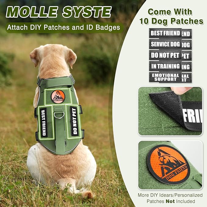 Tactical Service Dog Vest Harness and Leash Set,Heavy Duty Dog Harness with Metal Buckles for Medium Sized Dogs,Adjustable No Pull Pet Vest with Patches for Training Working Hiking,Green M