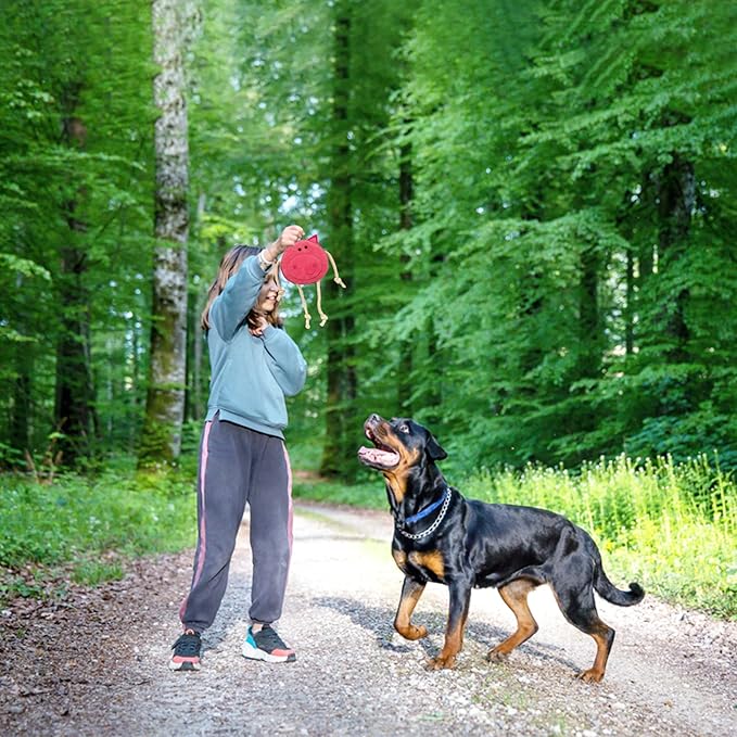 Eco Leather Pickles Pig Natural and Tough Dog Toys - Long Lasting Chew Toys for Aggressive Chewers - Strong Dog Toy for Dogs and Puppy