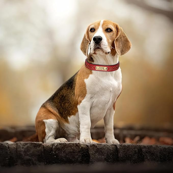 Personalized Dog Collars Custom Premium PU Leather Dog Collar with Name and Phone Number Engraved Name Plate for Medium Dogs Customized Customizable Adjustable Dog Collar, Red,M(11-14")