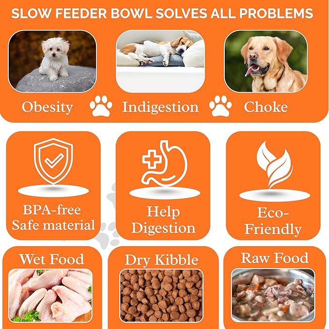 Slow Feeder Dog Food Bowl – Interactive Dog Food Dish for Breeds, Bowl Designed to Slow Eating, Promotes Healthy Digestion and Prevents Bloat, Ideal for Cats and Dogs