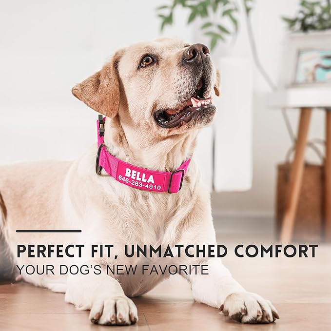Personalized Tactical Dog Collar for Large Dogs, Heavy Duty Military Collar with Name, Made of Thick Nylon and Strong Metal Buckle for Maximum Durability, Available in Pink, Blue, Black, and Green
