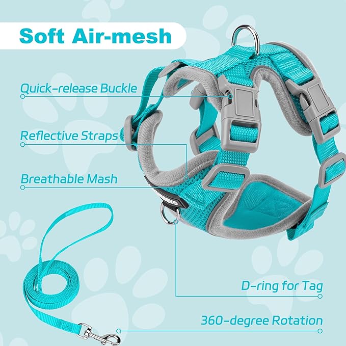 Small Dog Harness and Leash Set, No Pull Adjustable Pet Harness for Small Dogs, Breathable Mesh Rflective Dog Vest Harness (Turquoise, XXS)