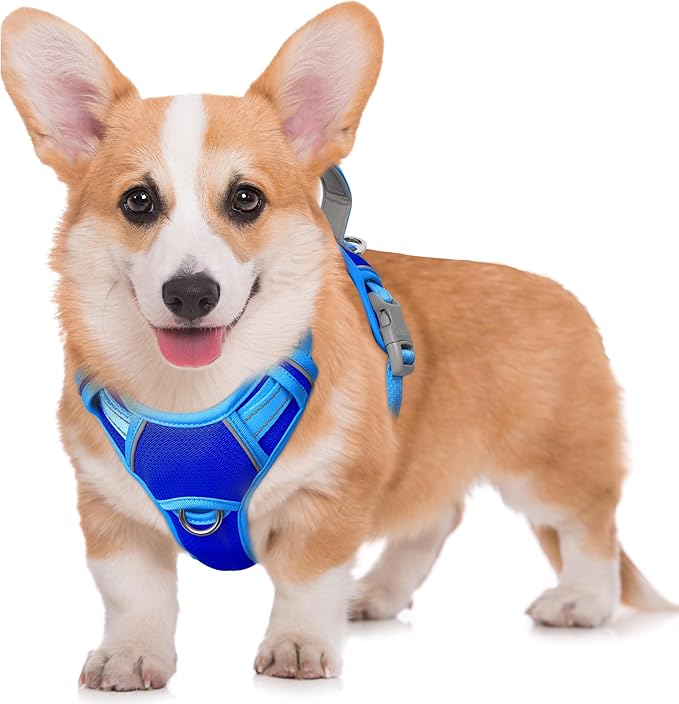 BARKBAY No Pull Dog Harness Large Reflective Dog Harness with Front Clip and Easy Control Handle for Walking Training Running with ID tag Pocket(Sapphire Blue & Blue,M)