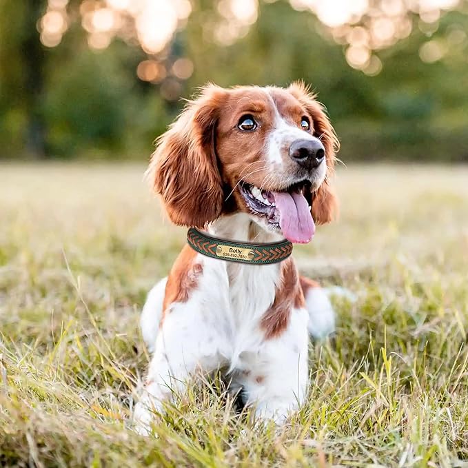 Personalized Dog Collars Custom Premium PU Leather Dog Collar with Name and Phone Number Engraved Name Plate for Large Dogs Customized Customizable Adjustable Dog Collar, Green,L(14-18")