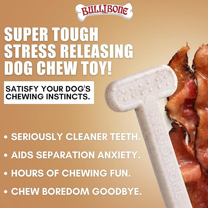 Bullibone Nylon Dog Chew Toy for Aggressive Chewers - Dental Hygiene Bone with Bacon Flavor, Durable Tough Chew Toys for Small Dogs, Indestructible Dog Bone - Single