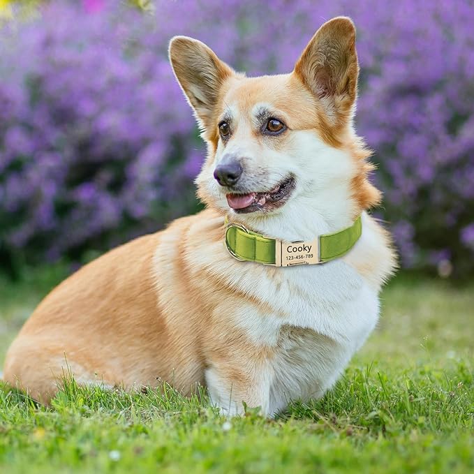 Velvet Personalized Dog Collar with Name - Customizable Dog Collar with Quick Release Metal Buckle - Leash and Bow Tie Available (Avocado Green, L)