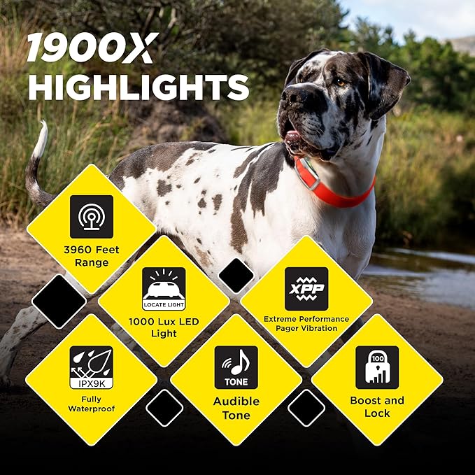 Dogtra 1900X Orange E-Collar for Dog Training - 3/4 Mile Range, for Dogs 35 lbs+, IPX9K Waterproof, 100 Stimulation Levels, Vibration, Tone, Rechargeable - Ideal for Dog Owners and Trainers