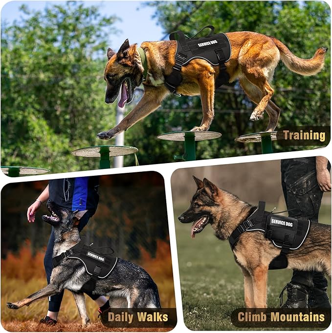 WINSEE Tactical Dog Harness for Large Dog, Heavy Duty Service Dog MOLLE Vest with 10 Pet Patches, No Pull Military Working Vest for Training Hunting Walking