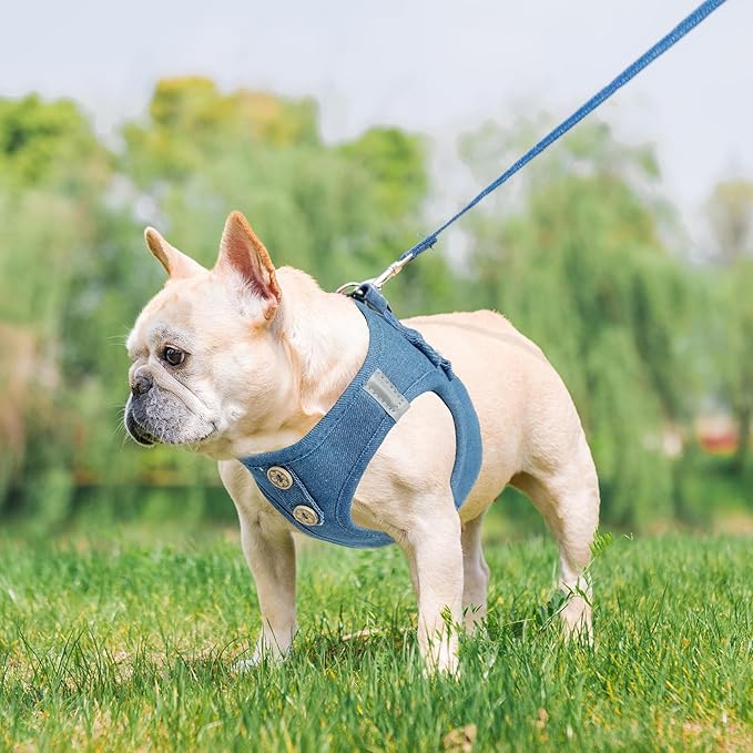 PUPTECK Dog Harness and Leash Set for Small Medium Dogs No Pull Step-in Soft Mesh Puppy Cat Vest Harnesses Reflective at Night, Denim Steelblue S