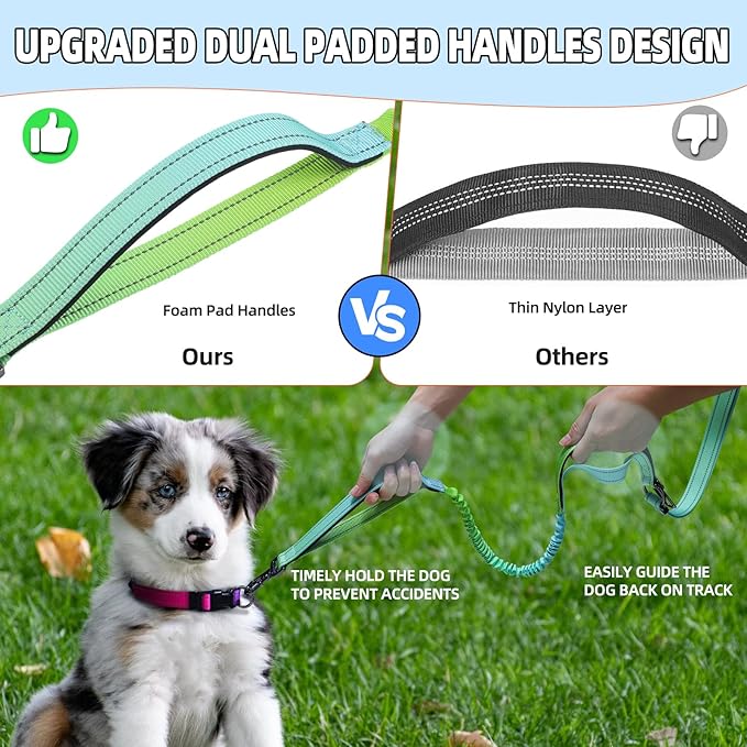 Roses&Poetry Hands Free Dog Leash with Zipper Pouch, 6-9ft Bungee Waist Leash for Medium Large Dogs Walking, Running Lead with Dual Padded Handles Car Safety Buckle for Training Jogging