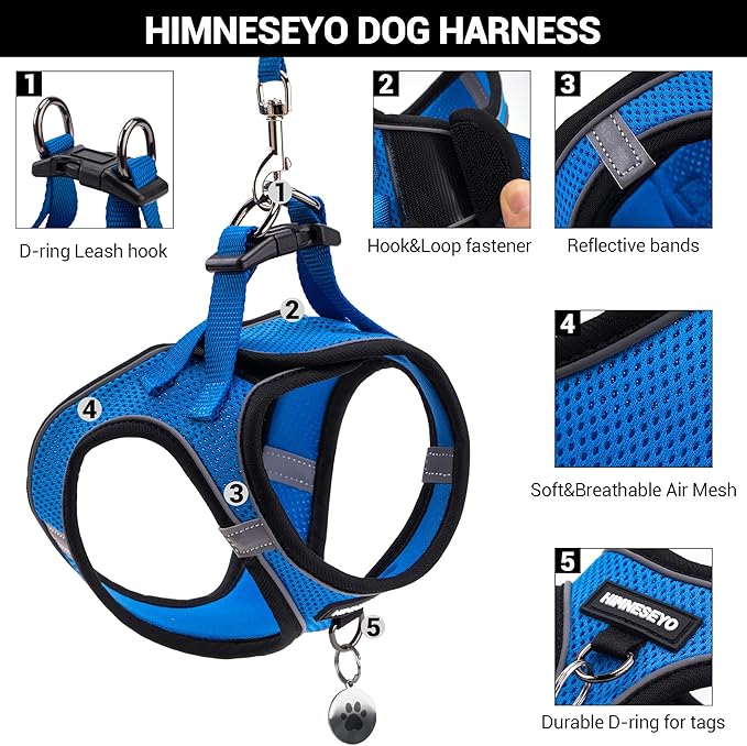 Dog Harness and Leash Set, Dog Harness for Dogs No Pull, No-Chock Step-in Reflective Breathable Lightweight Easy Walk Vest Harnesses with Safety Buckle for Small Medium Dogs, Cats (Blue, XXS)