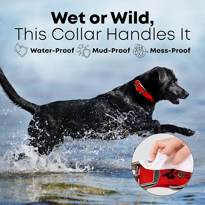 Regal Dog Products Medium Red with Custom Engraved Waterproof Dog Collar and Leash Set | Waterproof Dog Collar with D Ring | Center Ring & 5'ft Leash | Matching Dog Collar and Leash for Dogs