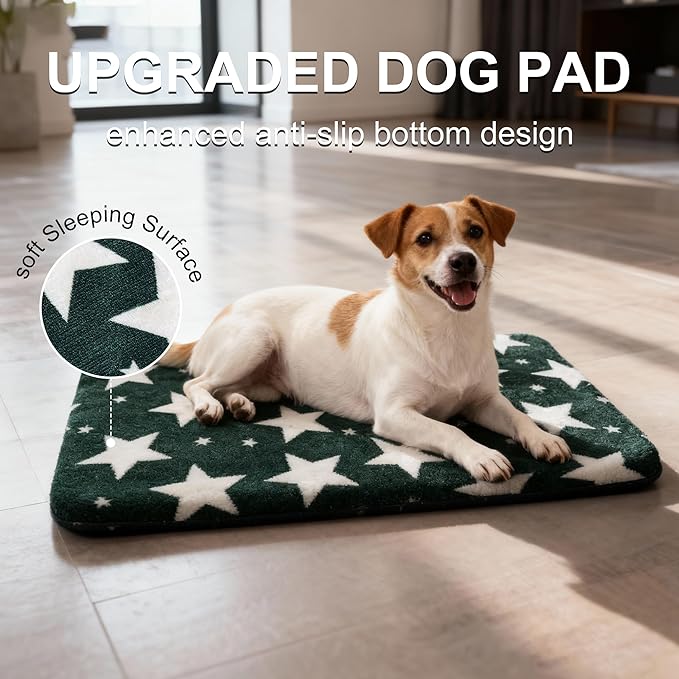 Washable Dog Bed Plush Orthopedic Outdoor Crate Mat with Non-Slip Bottom,Luxe Soft Kennel Pad for Pets, Cozy Cage Cushion & Pet Sleeping Mattress Large Sized,Medium,Small Dogs,30x20 inch,Green