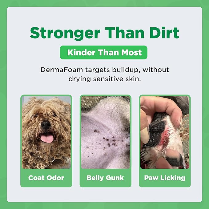 Dermafoam 16.9oz Chlorhexidine Shampoo for Allergies, Itching, Skin and Coat Supplement, Helps Shedding, Hot Spots, Paw Irritation, Rashes Deodorizing and Cleansing Dog Shampoo & Grooming Supplies