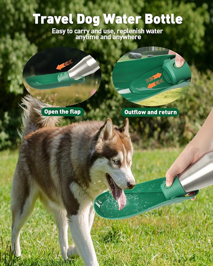 Portable Dog Water Bottle Bowl - 27 oz Travel Water Bowl Dispenser for Dogs, Stainless Steel Leak-Proof, A Must-Have for Outdoor, Camping, Walking, Beach, Hunting and Other Scenes （Green）