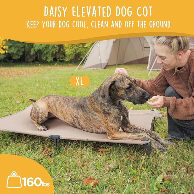 Daisy Cot, XL Foldable Elevated Dog Bed, Portable Raised Outdoor Folding Dog Cot, Cooling, Chew Proof, Waterproof, Heavy Duty Up to 160 lbs for Camping/Home, Brown, 49"x 33"x7"