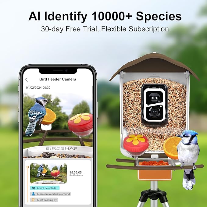 birdsnap® PAV- Smart Bird Feeder with Camera Solar Powered, 64GB Card & 2K HD Record Video Bird Camera Live with 5 DIY Add-ons, AI Identify Auto Capture, Ideal Gift for Birds Lover