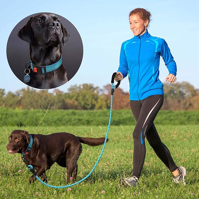 Heavy Duty Dog Leash - Comfortable Padded Handle, 5 ft Long - Dog Leashes for Small Medium Large Dogs (Leash+Collar L Neck 20"-25", Blue)