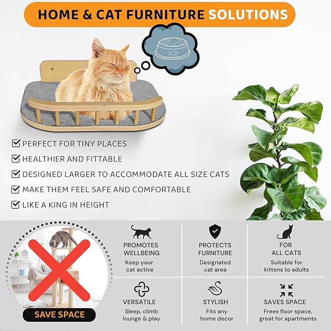 Cat Wall Shelves with 3 Steps – Modern Wood Wall Mounted Furniture, Climber & Perch Shelf for Cats up to 30lbs – Sturdy Floating Bed for Large Cats