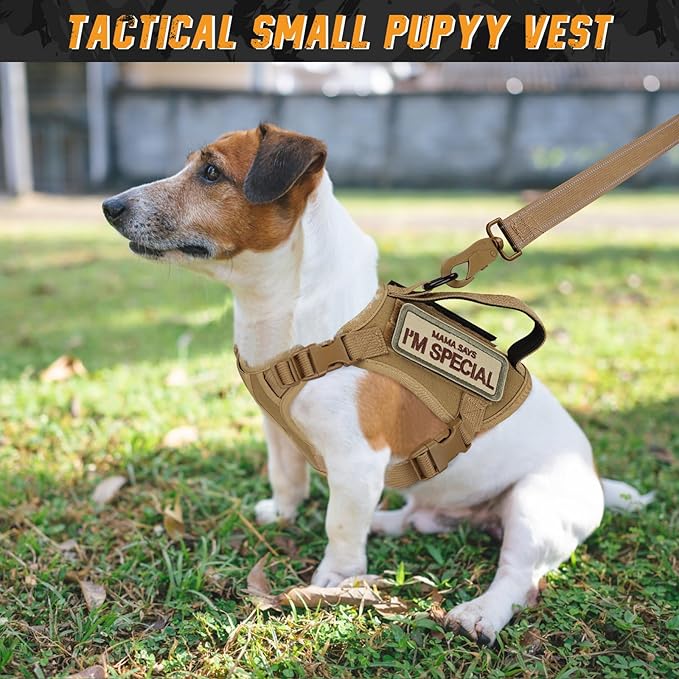 Tactical Dog Harness for Small Dogs, Military Puppy Vest Harness and Leash for Outdoor Training, Adjustable Service Dog Vest with Handle, 3 Patches
