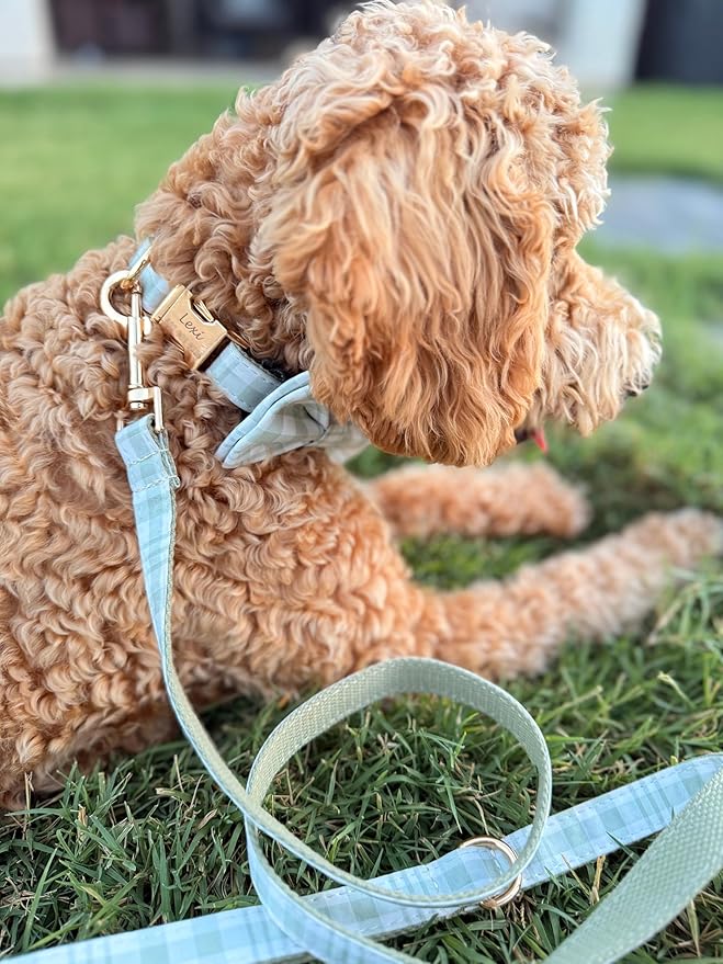 PETDURO Personalized Dog Collar Olive Green Plaid for Large Medium Dogs | Engraved Name and Phone Number on Gold Metal Buckle for Boys & Girls | Add Leash & Bow Tie via Customize Now