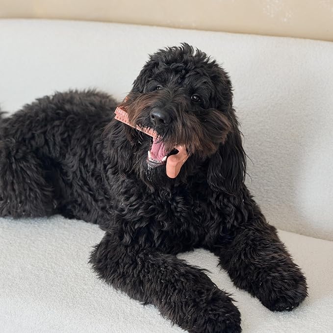 SPOT Bam-Bones Plus T Bone - Bamboo Fiber & Nylon Dog Chew Toy for Moderate to Aggressive Chewers, Non-Splintering, Long-Lasting, 7in Beef Flavor, for Adult Dogs & Teething Puppies Under 90lbs