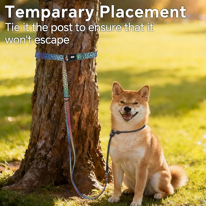 QQPETS Adjustable Slip Lead Dog Leash, Hands Free Waist Leash for Dog Walking, Reflective Training Lead with 360° Swivel Anti-Tangle, 4-7 ft Length for All Breeds