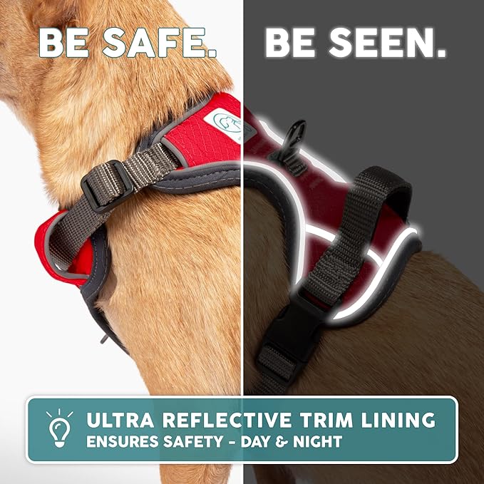 Embark Adventure Dog Harness, Reflective Trim No Pull Dog Harness for Large Dogs - Military Grade Nylon, Front Clip with Gel Lined Handle.