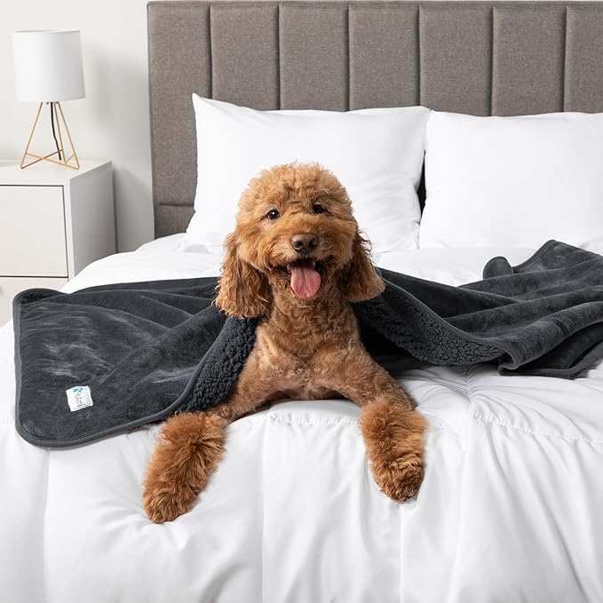 PetAmi Waterproof Dog Blanket for Small Medium Dogs, Pee Proof Pet Blanket for Couch Bed, Reversible Water Proof Blanket for Puppy Indoor Cat, Soft Dog Fleece Blankets Washable, 29x40 Gray