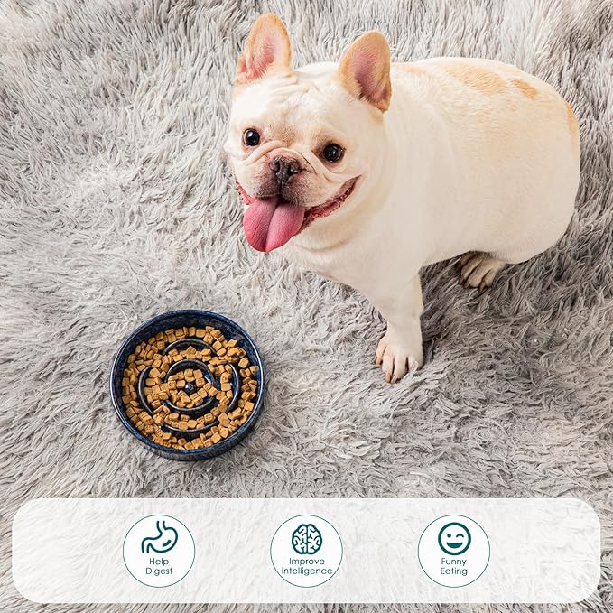 vancasso Slow Feeder Dog Bowl, 0.6 Cups Ceramic Dog Food Dish for Fast Eaters Small Breed, Puzzle Bowl for Small Dogs and Cats, Blue