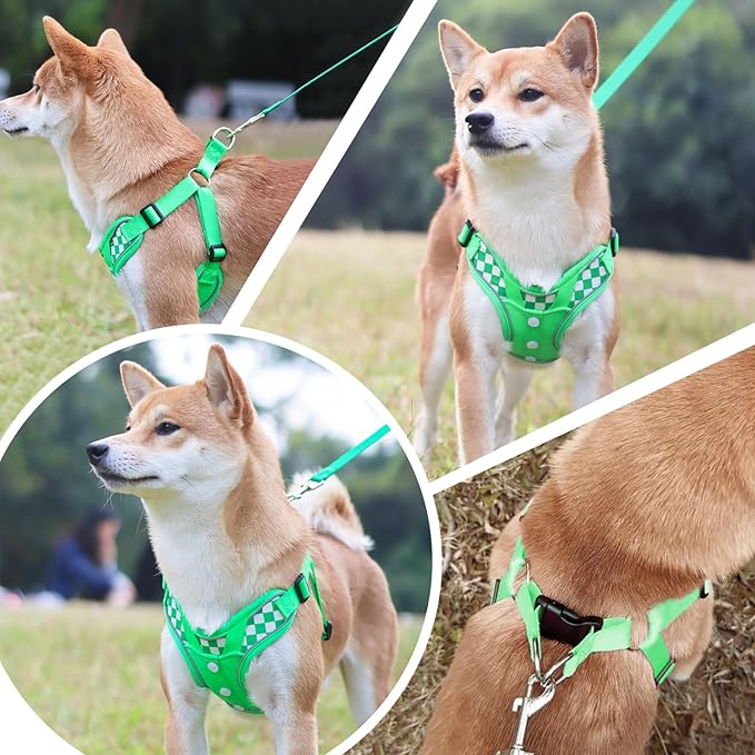 Dog Lovely Harness with Leash Set, Adjustable Step in with Breathable Padded Puppy Harness for Large Medium Dogs (L Green)