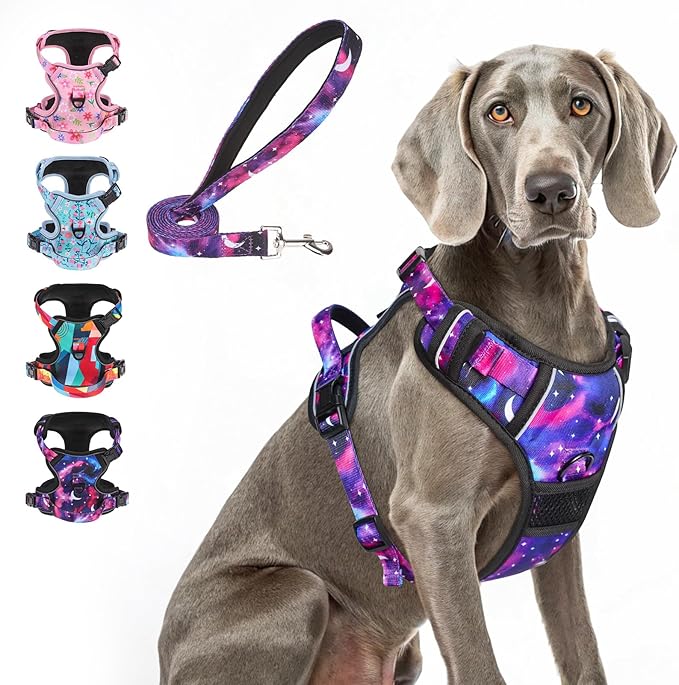 BEAUTYZOO No Pull Dog Harness and Leash Set with 2 Metal Leash Clips - Overhead-Free 3 Snap Buckles Design, Adjustable No-Choke Soft Padded Reflective Oxford Pet Vest for Small Medium Large Dogs, XL