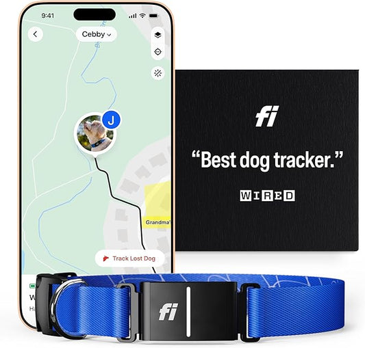 Fi Series 3 Smart Dog Tracker Collar – 6 Month Membership Included (Blue, Large)