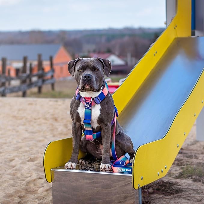 Spark Paws No Pull Dog Harness for Large Dogs, Heavy Duty Dog Harness for Big Strong Breeds, Adjustable, Y Shaped Padded Halter Design with Front Clip - Snow Cone - S