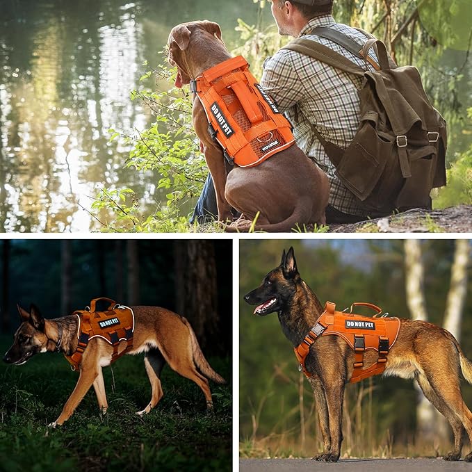 WINSEE Mesh Dog Harness with 10 Pet Patches for Large Service Dog in Training, Breathable Tactical Molle Vest with Double Handles, Reflective Military Pet Vest for Walking Hiking