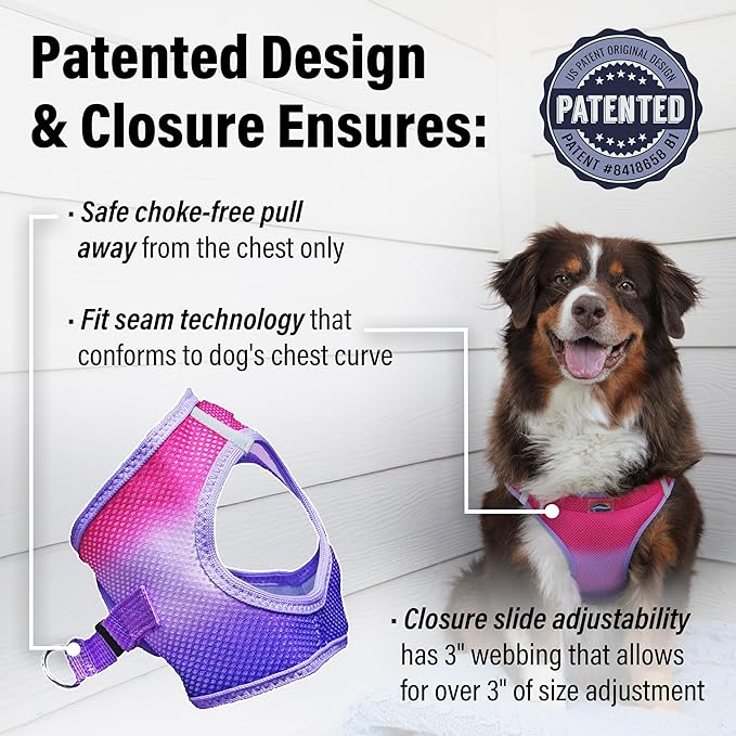 Doggie Design Dog Harness - No Choke Dog Harness, Dog Vest, Mesh Polyester, Pet Harness, Simple Step in Design, Harness for Dog - Raspberry Sundae, 3XL
