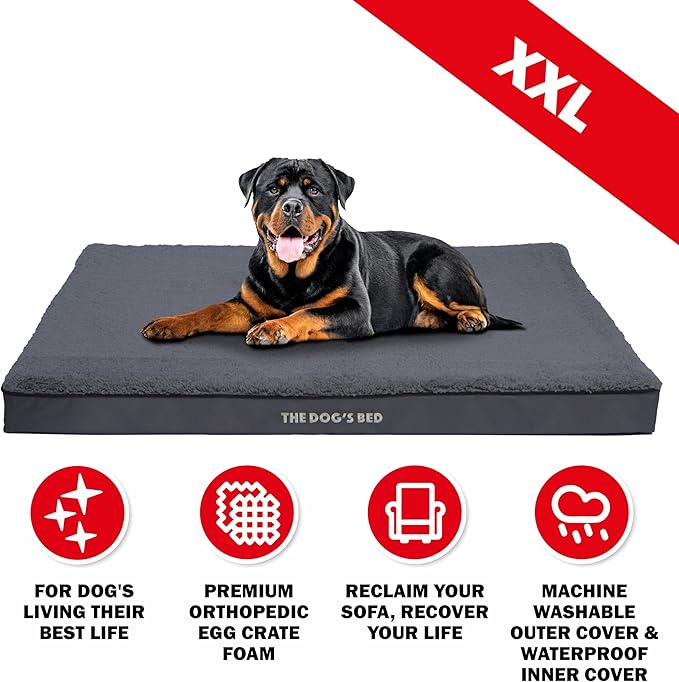 The Dog’s Bed Orthopedic Dog Bed, XXL Grey Plush, Waterproof, Supportive Dog Bed with Washable Replaceable Covers, Veterinary Approved