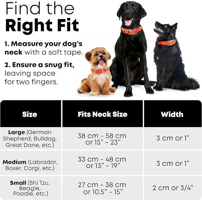 Regal Dog Products Small Orange with Custom Engraved Reflective Dog Collar and Leash Set | Waterproof Dog Collar with D Ring | Center Ring & 5'ft Leash | Matching Dog Collar and Leash for Dogs