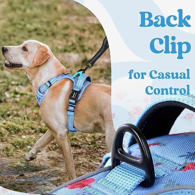 rabbitgoo Dog Harness for Large, No Pull Pet Harness with 3 Buckles, Adjustable Soft Padded Vest with Control Handle, Walking Reflective Pet Vest for Extra Large Dogs, Floral Blue, XL