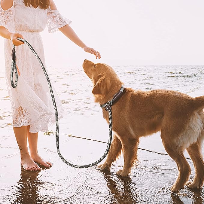 TwoEar Slip Leads for Dogs, 1/2" x 6FT Slip Leash for Large Dogs with Highly Reflective Threads, Comfortable Strong Rope Slip Leads, No Pull Pet Training Leash, Grey