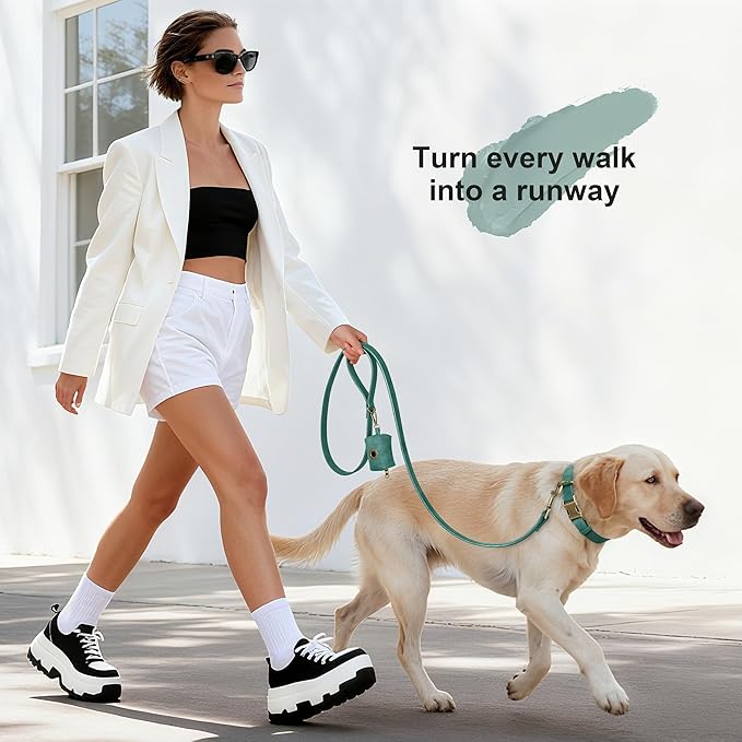 Didog Soft PU Leather Dog Collar, Stylish Quick Released Dog Collar for Large Dogs, Easy Clean Adjustable Pet Collar for Daily Walking, Green, L Fit 15-23" Neck