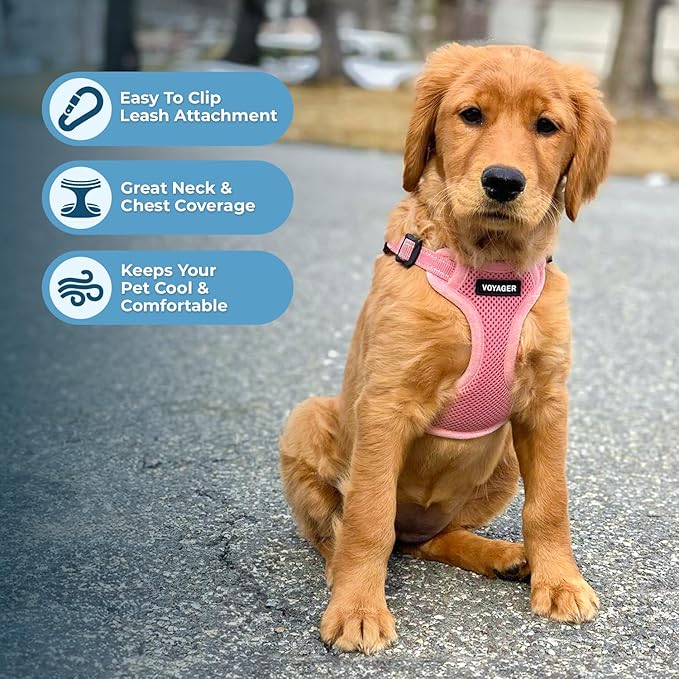 Best Pet Supplies Voyager Mesh Dog Breathable Harness Reflective Stitching, All Weather Adjustable for Walking Training, or Running - Heavy Duty & Durable, Harness Leash Set (Pink), M