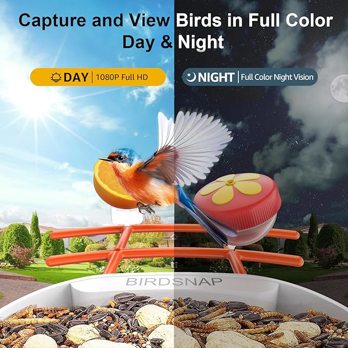 birdsnap® PAV- Smart Bird Feeder with Camera Solar Powered, 64GB Card & 2K HD Record Video Bird Camera Live with 5 DIY Add-ons, AI Identify Auto Capture, Ideal Gift for Birds Lover